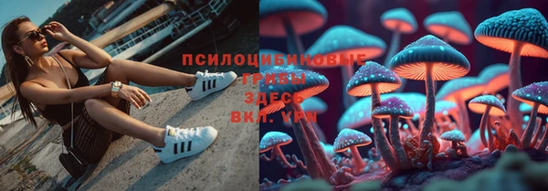 бутират Горняк
