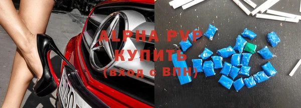 молекула духа Вязьма
