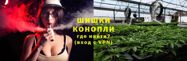 молекула духа Вязьма